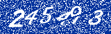 Capcha image